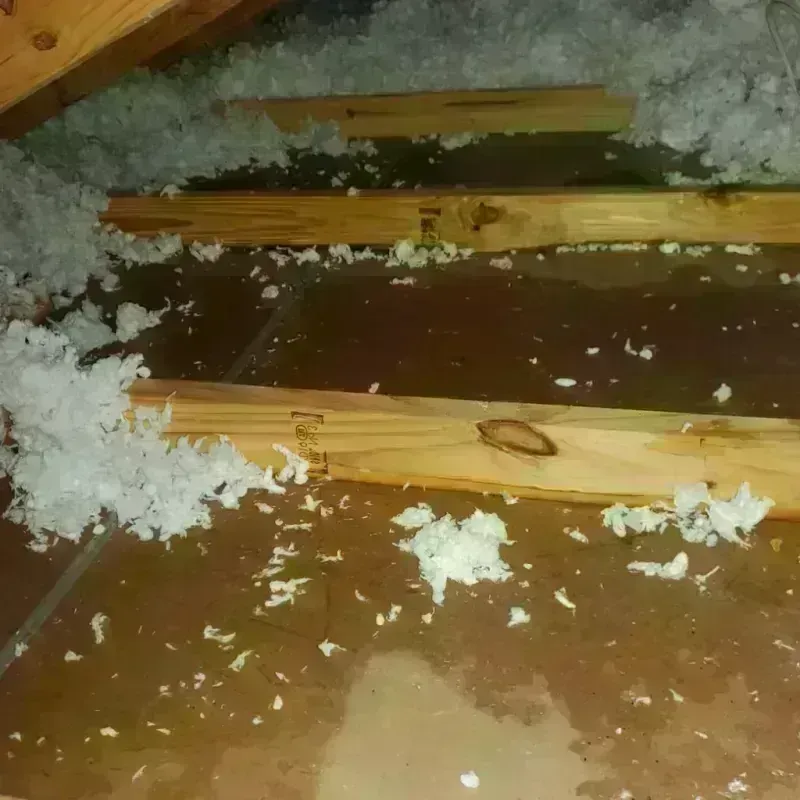 Attic Water Damage in Stuarts Draft, VA